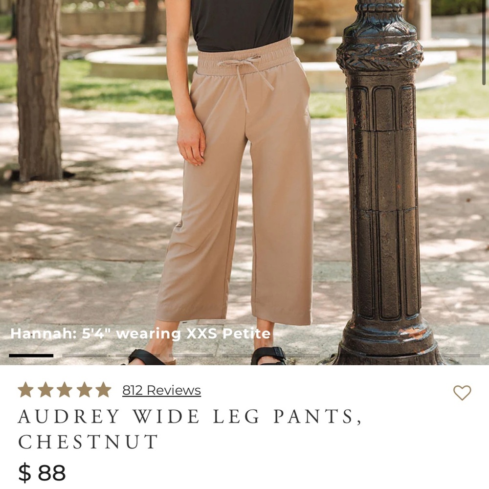 Audrey Wide Leg Pants in Chestnut